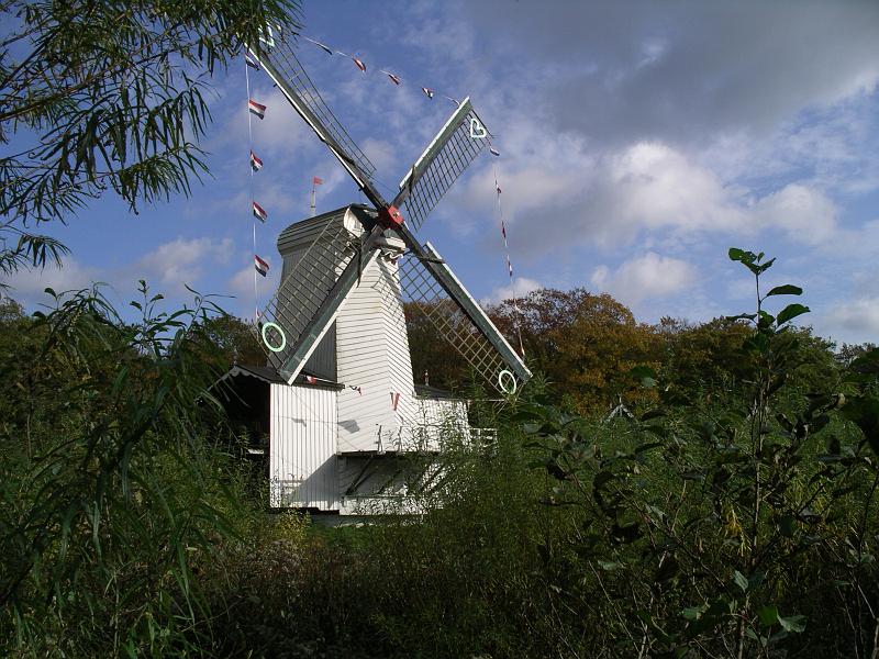 NOM 2008 059.jpg